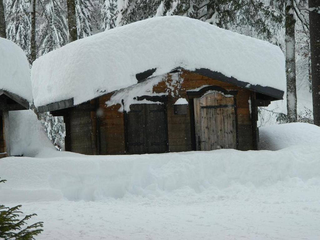 Logis Hotel Les Sapins مورْيو المظهر الخارجي الصورة