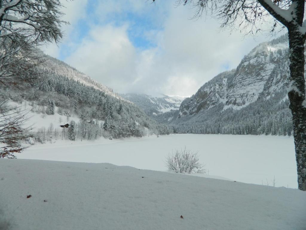 Logis Hotel Les Sapins مورْيو المظهر الخارجي الصورة